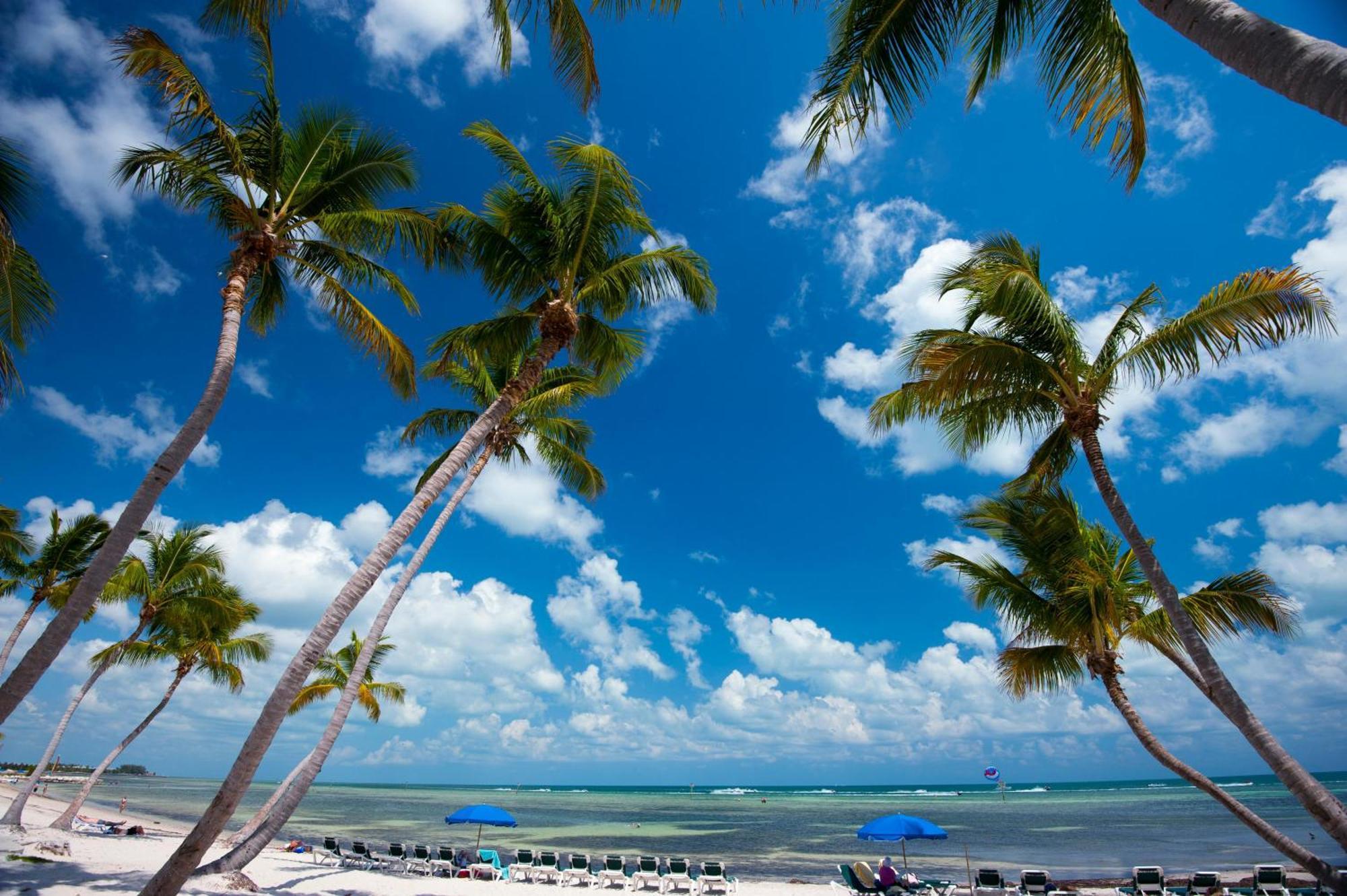Apartment On My Mind Key West