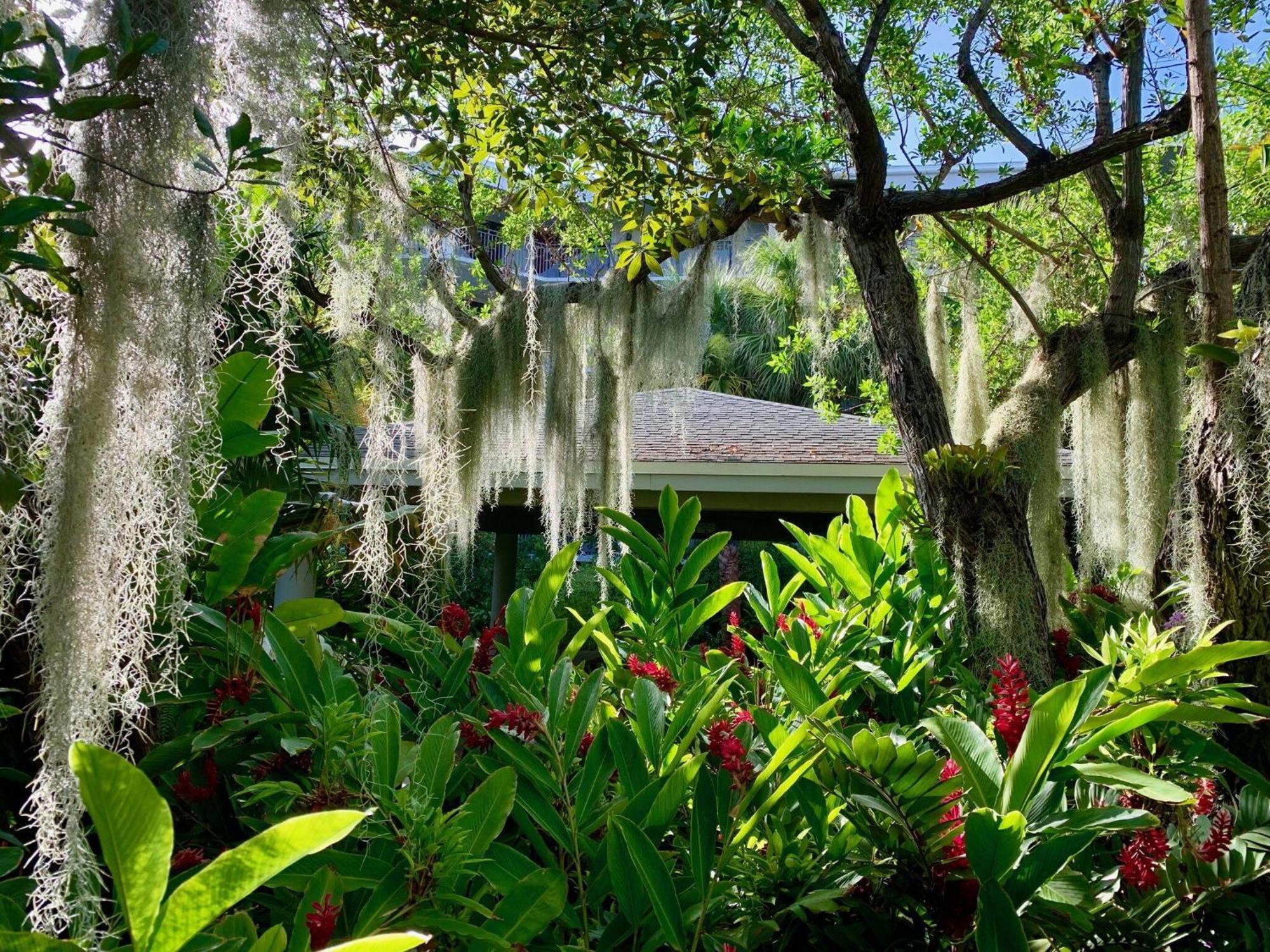 Apartment On My Mind Key West