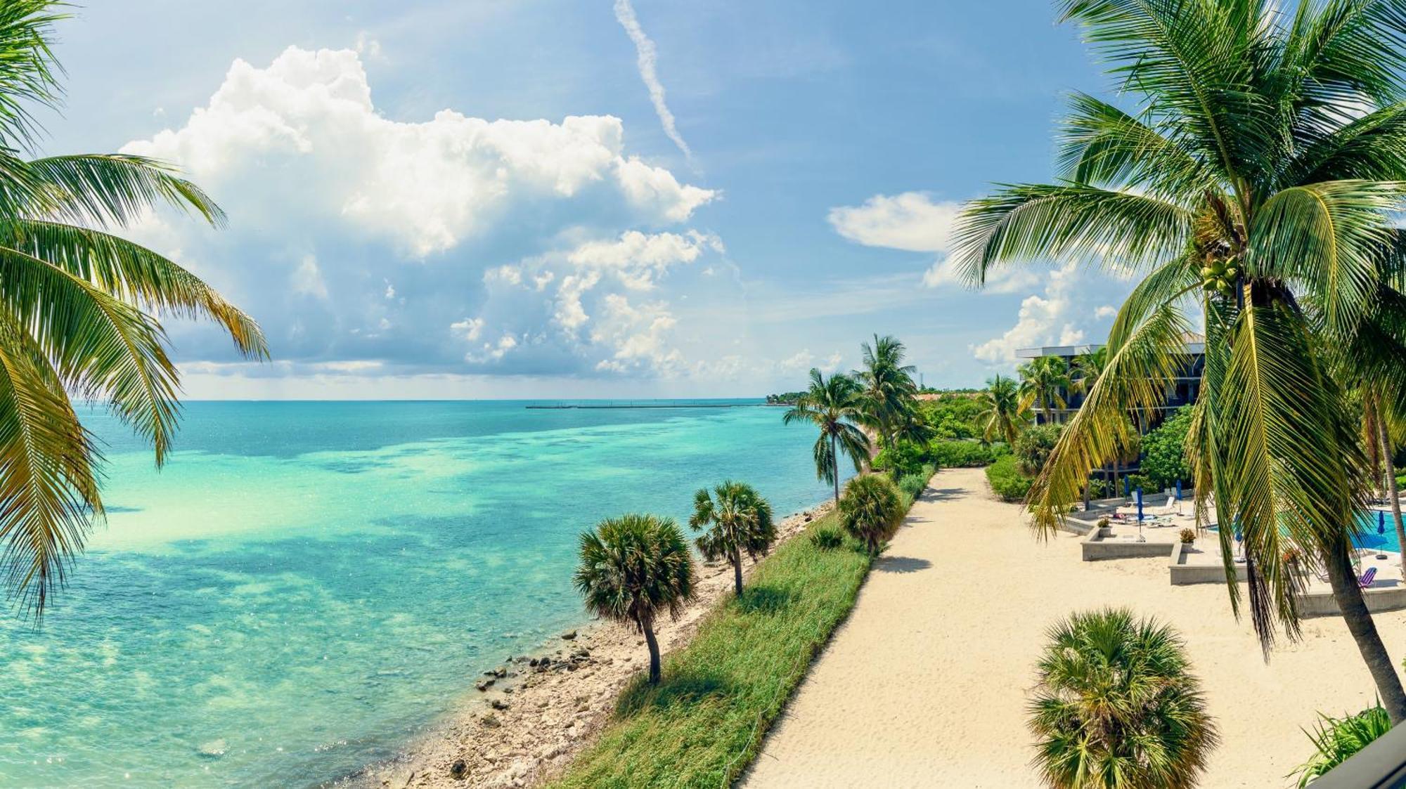 Apartment Windswept Palms By Last Key Realty *